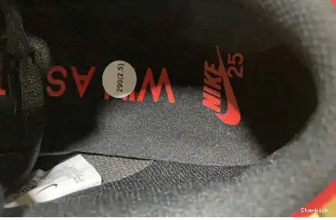 Low years 309242-307 25th Nike SB Dunk 0613